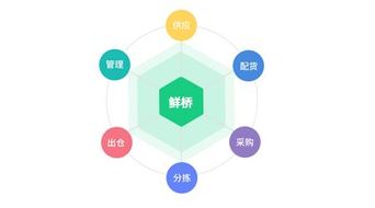 鮮橋訂貨軟件 賦能農產品流通，讓晝夜奔忙更從容