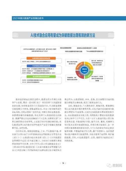 洞見未來 2021中國大數據產業發展白皮書之基礎軟件服務深度解析