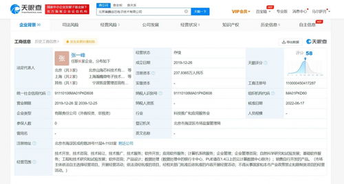 資本布局底層技術 OPPO投資瀚巍創芯，搶灘基礎軟件服務新高地